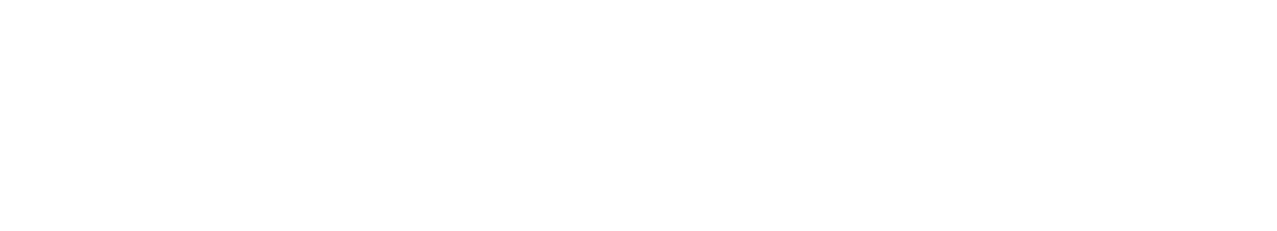 SoldIQ