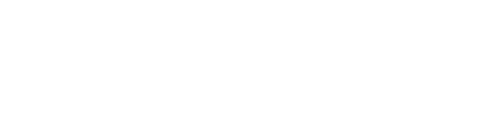 SoldIQ
